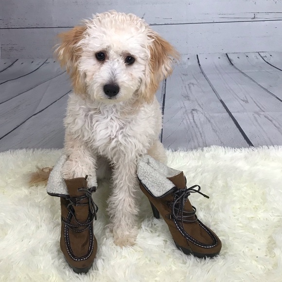 Shoes - Brown Boot Heel With Fold Over Top